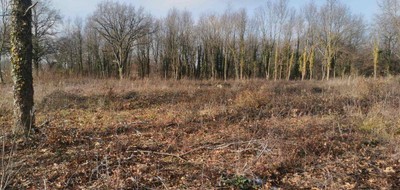 Terrain seul à Saint-Étienne-de-Vicq en Allier (03) de 1076 m² à vendre au prix de 23700€