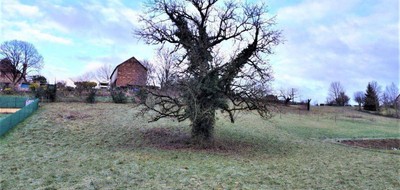 Terrain seul à Meyssac en Corrèze (19) de 1670 m² à vendre au prix de 20000€