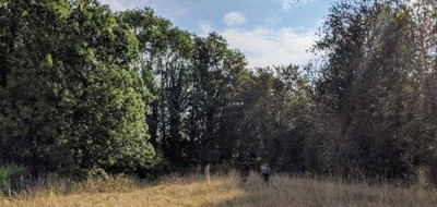 Terrain seul à Cambrai en Nord (59) de 588 m² à vendre au prix de 39200€