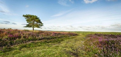 Terrain seul à La Roche-Posay en Vienne (86) de 1499 m² à vendre au prix de 42000€