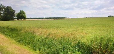 Terrain seul à Méry-sur-Cher en Cher (18) de 1200 m² à vendre au prix de 30000€