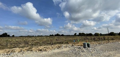 Terrain seul à Palluau en Vendée (85) de 391 m² à vendre au prix de 50830€