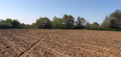 Terrain seul à Sainte-Jamme-sur-Sarthe en Sarthe (72) de 700 m² à vendre au prix de 61000€