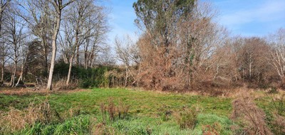 Terrain seul à Magescq en Landes (40) de 949 m² à vendre au prix de 122000€