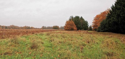 Terrain seul à Loches en Indre-et-Loire (37) de 500 m² à vendre au prix de 50000€