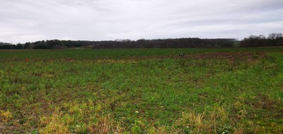 Terrain seul à Veigné en Indre-et-Loire (37) de 526 m² à vendre au prix de 102000€