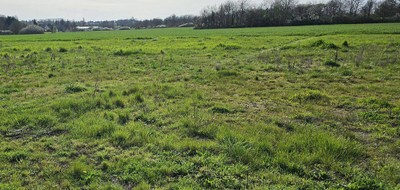 Terrain seul à Chisseaux en Indre-et-Loire (37) de 1234 m² à vendre au prix de 60000€