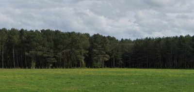Terrain seul à Tigy en Loiret (45) de 8500 m² à vendre au prix de 173000€