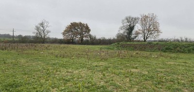 Terrain seul à Champtocé-sur-Loire en Maine-et-Loire (49) de 384 m² à vendre au prix de 40000€