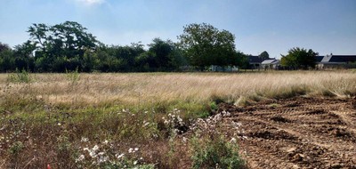 Terrain seul à Vineuil en Loir-et-Cher (41) de 667 m² à vendre au prix de 84800€