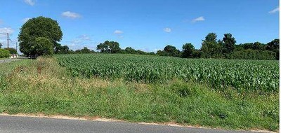 Terrain seul à Commequiers en Vendée (85) de 300 m² à vendre au prix de 59000€