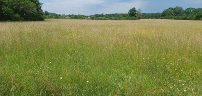 Terrain seul à Cartelègue en Gironde (33) de 730 m² à vendre au prix de 27500€