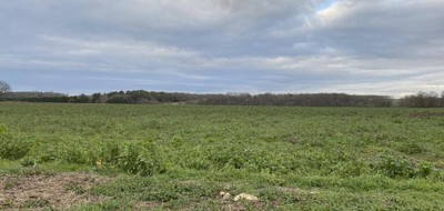 Terrain seul à Veigné en Indre-et-Loire (37) de 508 m² à vendre au prix de 93000€