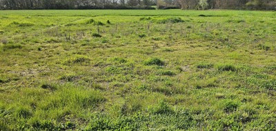 Terrain seul à Beaumont-Louestault en Indre-et-Loire (37) de 500 m² à vendre au prix de 53000€