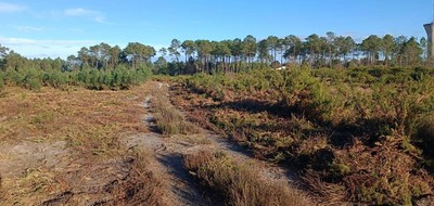 Terrain seul à Castets en Landes (40) de 828 m² à vendre au prix de 125000€