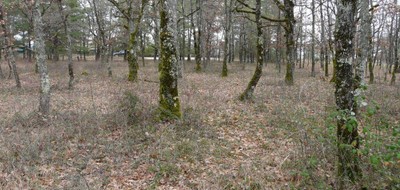 Terrain seul à Saint-Paul-Flaugnac en Lot (46) de 2956 m² à vendre au prix de 51000€