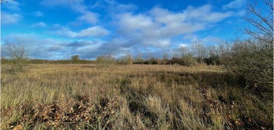 Terrain seul à Châtres-sur-Cher en Loir-et-Cher (41) de 1350 m² à vendre au prix de 24990€