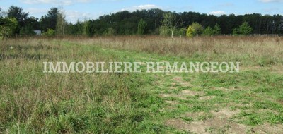 Terrain seul à Chaumont-sur-Tharonne en Loir-et-Cher (41) de 3178 m² à vendre au prix de 71500€