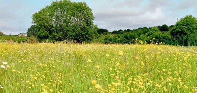 Terrain seul à Beaussais-Vitré en Deux-Sèvres (79) de 2800 m² à vendre au prix de 25000€