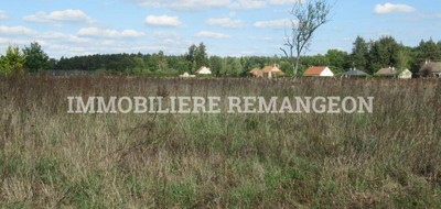 Terrain seul à Chaumont-sur-Tharonne en Loir-et-Cher (41) de 3032 m² à vendre au prix de 71500€