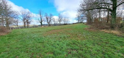 Terrain seul à Lapalisse en Allier (03) de 2600 m² à vendre au prix de 25000€