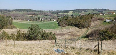 Terrain seul à Saint-Pierre-de-Chignac en Dordogne (24) de 23000 m² à vendre au prix de 142500€