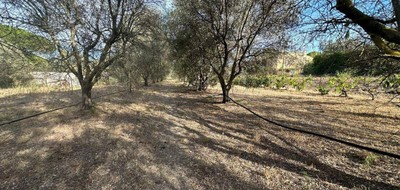 Terrain seul à Roquebrune-sur-Argens en Var (83) de 406 m² à vendre au prix de 210000€