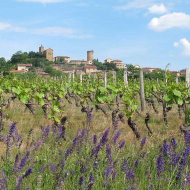 Image du post Acheter un terrain dans le Rhône (69) : les communes à cibler selon votre budget !