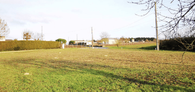 Programme terrain + maison à Feneu en Maine-et-Loire (49) de 457 m² à vendre au prix de 228541€ - 4