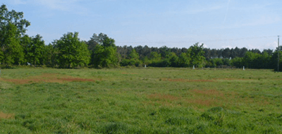 Terrain seul à Gourhel en Morbihan (56) de 400 m² à vendre au prix de 38000€