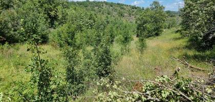 Terrain seul à Saint-Pierre-Lafeuille en Lot (46) de 1600 m² à vendre au prix de 45000€