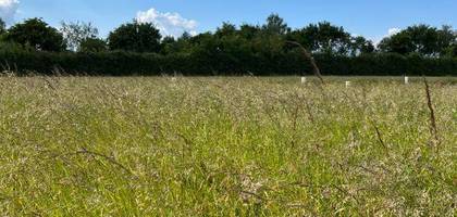 Terrain seul à Fyé en Sarthe (72) de 451 m² à vendre au prix de 16000€