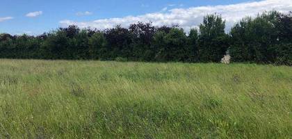 Terrain seul à Nazelles-Négron en Indre-et-Loire (37) de 800 m² à vendre au prix de 102000€