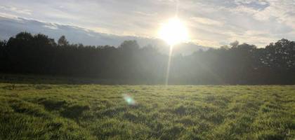 Terrain seul à Sénas en Bouches-du-Rhône (13) de 300 m² à vendre au prix de 149900€