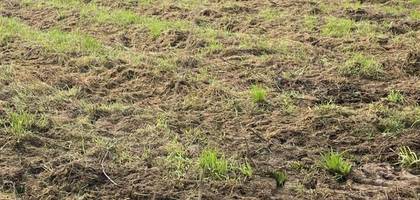 Terrain seul à Ganzeville en Seine-Maritime (76) de 805 m² à vendre au prix de 59000€