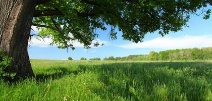 Terrain seul à Reignac-sur-Indre en Indre-et-Loire (37) de 3300 m² à vendre au prix de 55000€