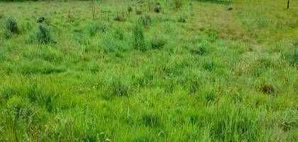 Terrain seul à La Geneytouse en Haute-Vienne (87) de 1500 m² à vendre au prix de 45000€