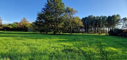 Terrain seul à Uzeste en Gironde (33) de 1600 m² à vendre au prix de 85000€