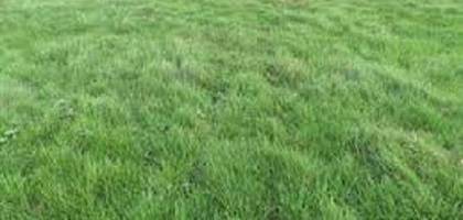 Terrain seul à Villemaréchal en Seine-et-Marne (77) de 764 m² à vendre au prix de 50000€