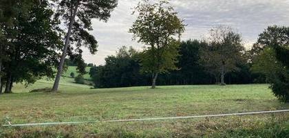 Terrain seul à Albussac en Corrèze (19) de 4500 m² à vendre au prix de 45000€