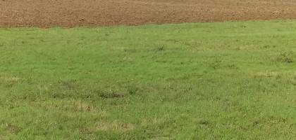 Terrain seul à Secondigny en Deux-Sèvres (79) de 420 m² à vendre au prix de 12600€