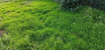 Terrain seul à Vieillevigne en Loire-Atlantique (44) de 340 m² à vendre au prix de 51000€