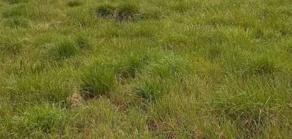 Terrain seul à La Brède en Gironde (33) de 685 m² à vendre au prix de 135000€