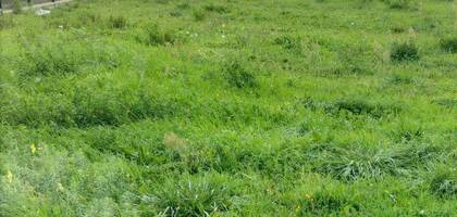 Terrain seul à Parthenay en Deux-Sèvres (79) de 1032 m² à vendre au prix de 36120€
