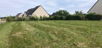 Terrain seul à Cheverny en Loir-et-Cher (41) de 1600 m² à vendre au prix de 60000€