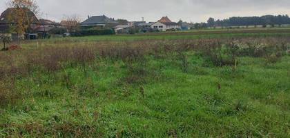 Terrain seul à Wolfgantzen en Haut-Rhin (68) de 496 m² à vendre au prix de 94240€