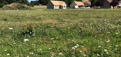 Terrain seul à Cangey en Indre-et-Loire (37) de 1110 m² à vendre au prix de 71300€