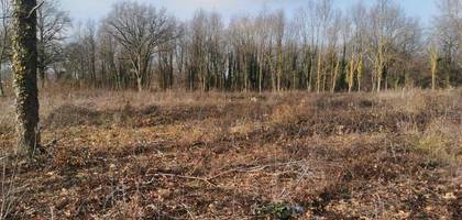 Terrain seul à Saint-Étienne-de-Vicq en Allier (03) de 1711 m² à vendre au prix de 28700€