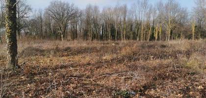 Terrain seul à Saint-Étienne-de-Vicq en Allier (03) de 1076 m² à vendre au prix de 23700€