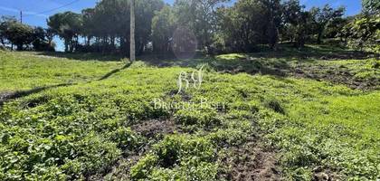 Terrain seul à Le Plan-de-la-Tour en Var (83) de 5500 m² à vendre au prix de 558000€